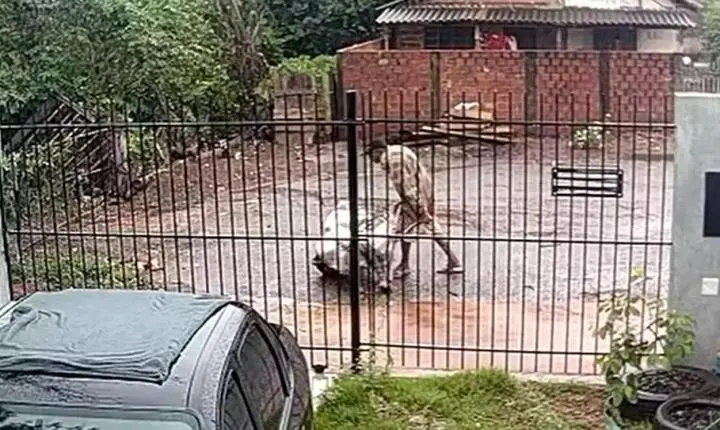 Homem carrega mulher desacordada em saco de cal no Paraná