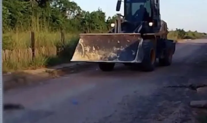 Homem é denunciado por matar cachorro com trator em Tailândia