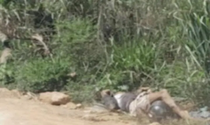 Homem é encontrado morto com múltiplas perfurações em Canaã dos Carajás