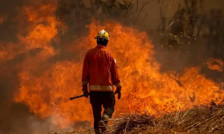 Incêndios ameaçam casas em Belterra e Juruti e mobilizam bombeiros no Pará