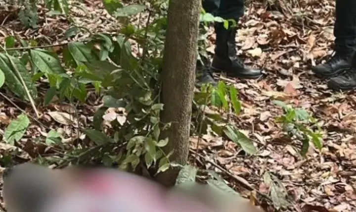 Itupiranga: Idosa morre após ser baleada por engano pelo marido durante caçada
