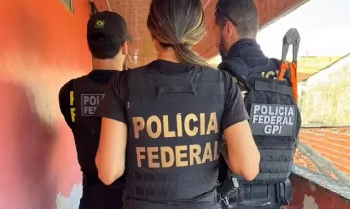 Justiça condena em Belém pessoa que vendia vídeos de maus-tratos a animais