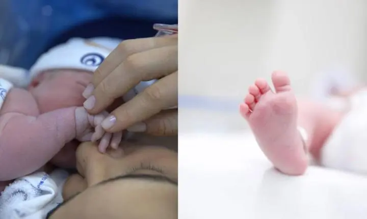 Lauana Prado dá à luz primeiro filho e celebra chegada de Dom