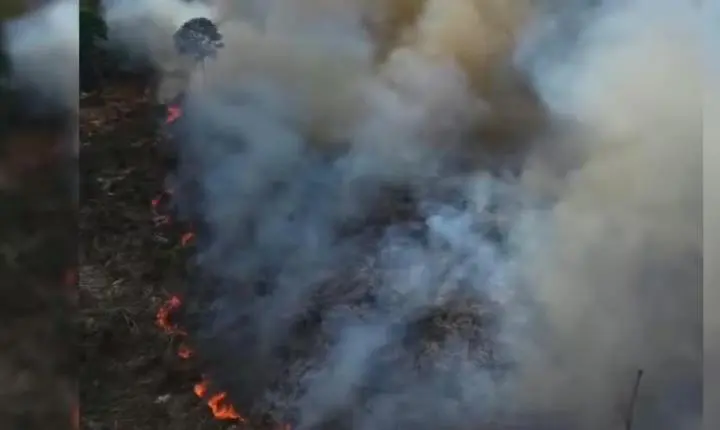 MPF recomenda criar comitê de crise após alta de incêndios no Pará