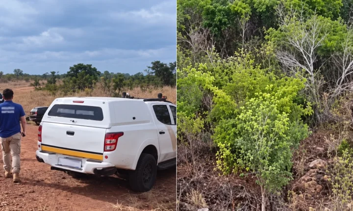 Ossada é achada em área de mata na zona rural de Balsas, no Maranhão