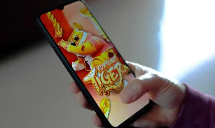 Palmas: nove pessoas são denunciadas por esquema com ‘Jogo do Tigrinho’
