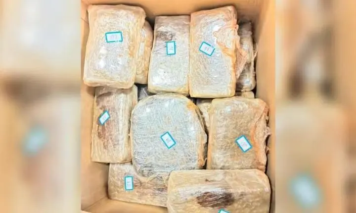 Polícia intercepta carro com 47 tabletes de ‘supermaconha’ em Santarém 