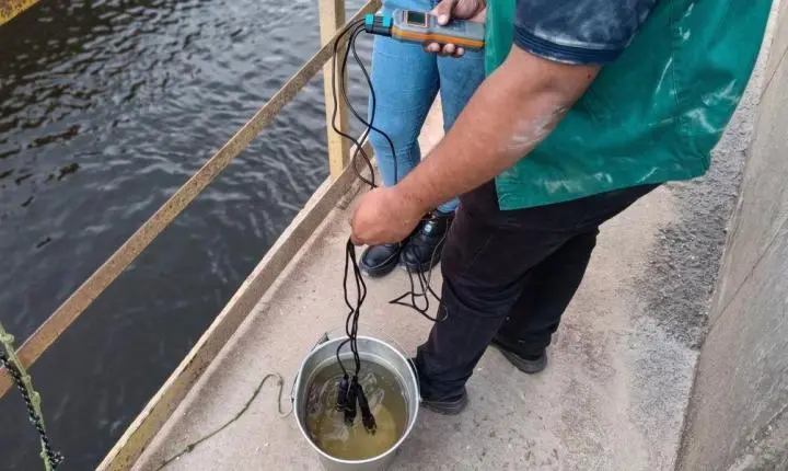 Prefeitura cobra explicações de empresa após peixes aparecerem mortos em Barcarena