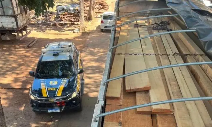 PRF apreende 38 m³ de madeira ilegal transportada em carreta na BR-222, em Marabá 