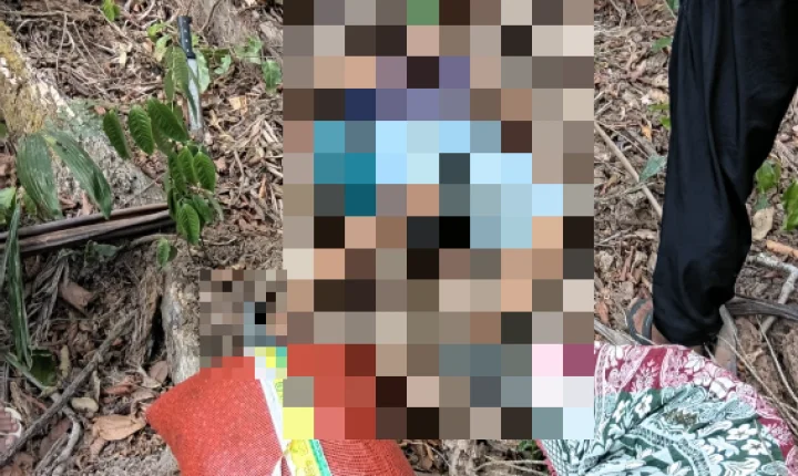 Primo é suspeito de matar homem com golpe de terçado em Anajás, no Marajó
