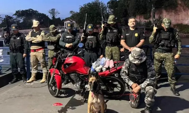 Santarém: cão farejador acha 5 kg de drogas em tanque de moto