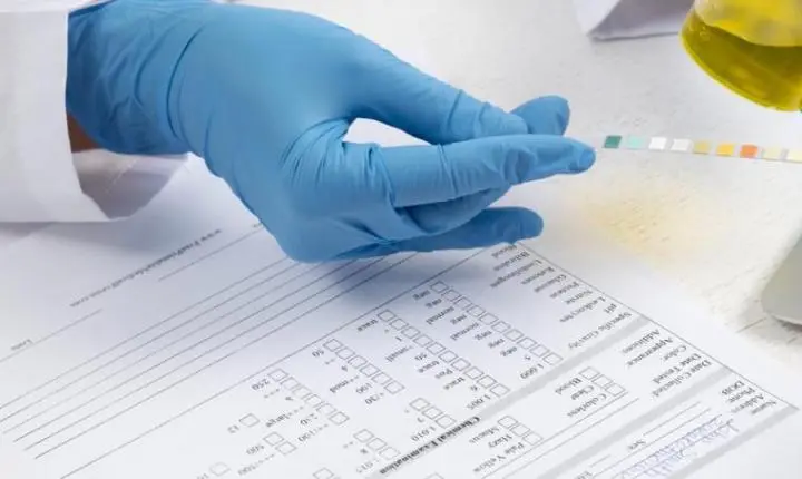 Seis pessoas são condenadas por fraude em exames toxicológicos para CNH em Palmas