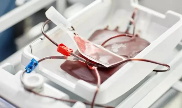 Testemunhas de Jeová mudam regra sobre sangue e passam a permitir doação e recebimento de componentes