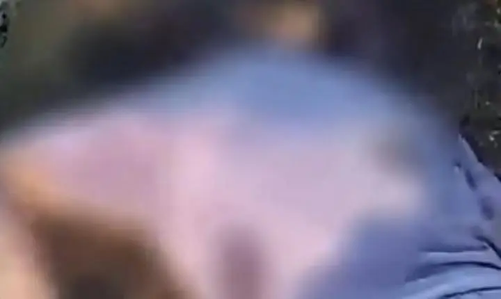 Vaqueiro é morto a tiros enquanto tirava leite em fazenda na zona rural de Nova Ipixuna